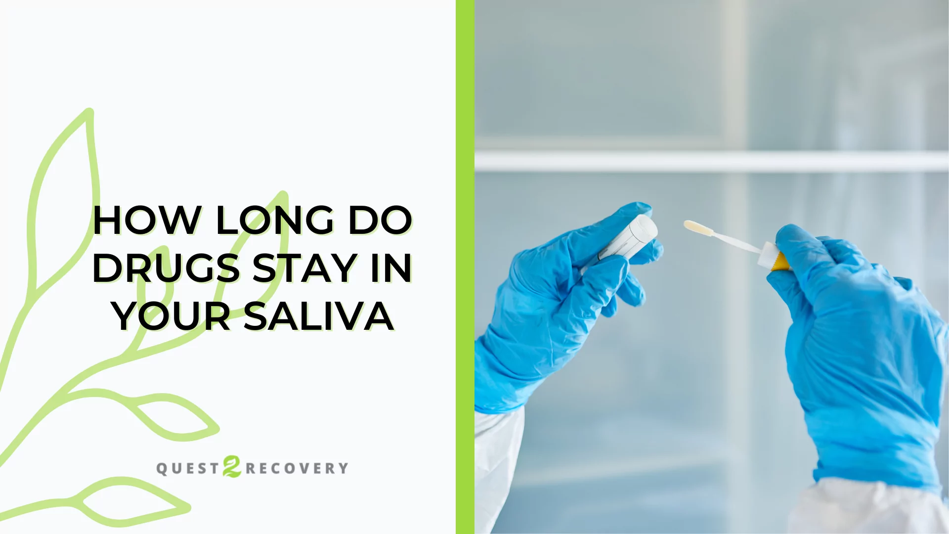 how-long-do-different-drugs-stay-in-your-saliva-quest-2-recovery