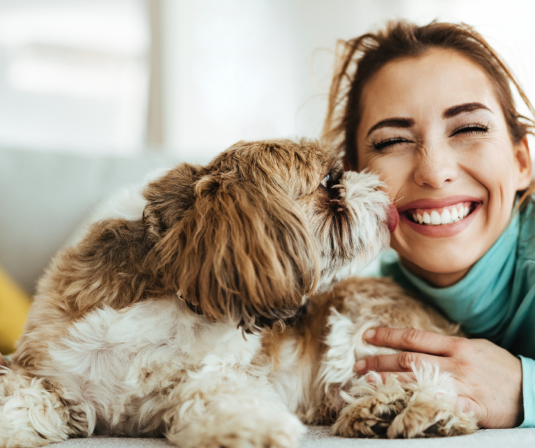 Animals And Pet Therapy Can Aid In Addiction Recovery