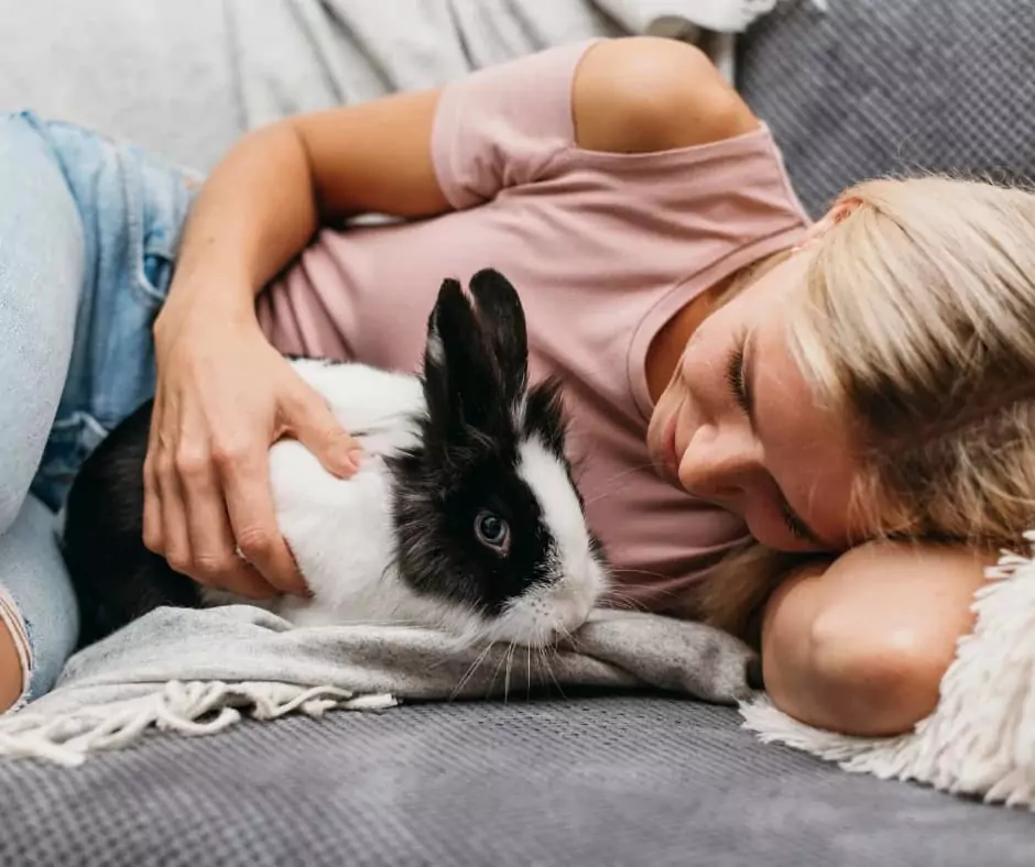Animals And Pet Therapy Can Aid In Addiction