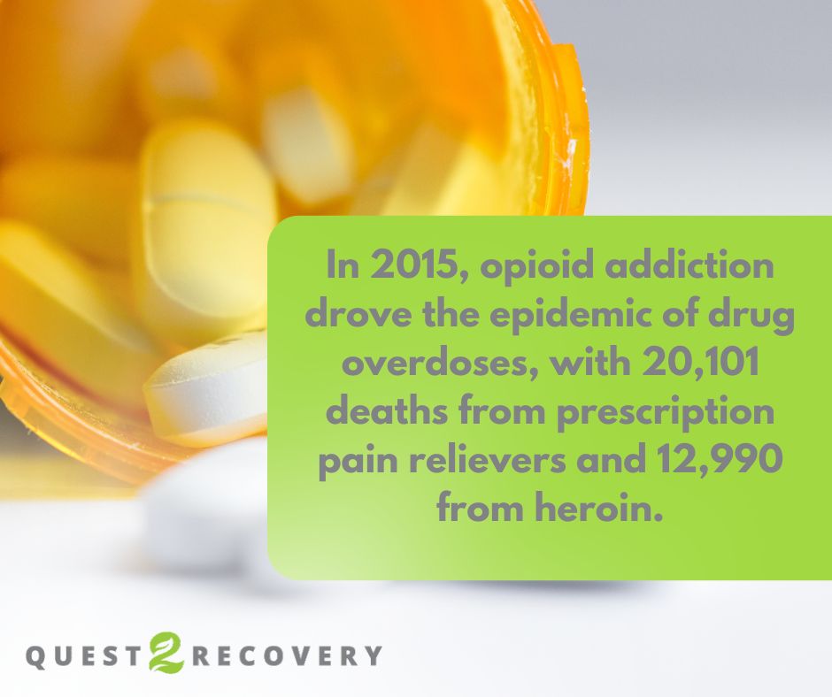 Info graphic detailing the amount of opioid-related drug overdoses in 2015